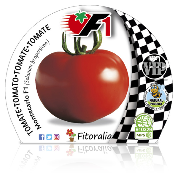 Pack Tomate Montecarlo F1 6 Ud. Solanum lycopersicum
