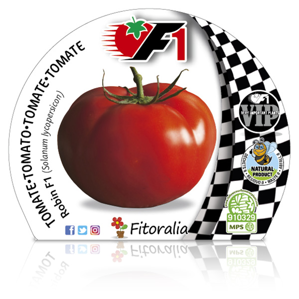 Pack Tomate Robin F1 6 Ud. Solanum lycopersicum