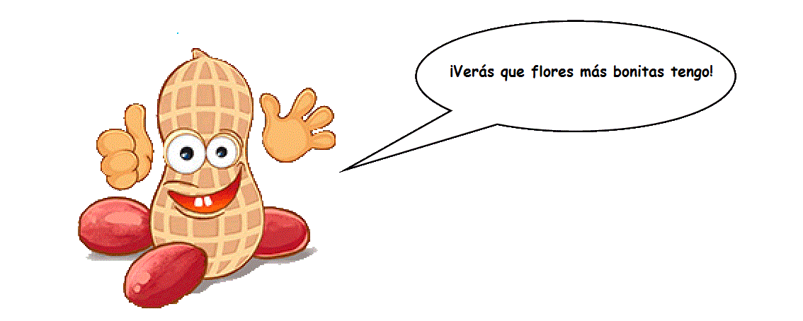 Cacahueto-bocadillo 2