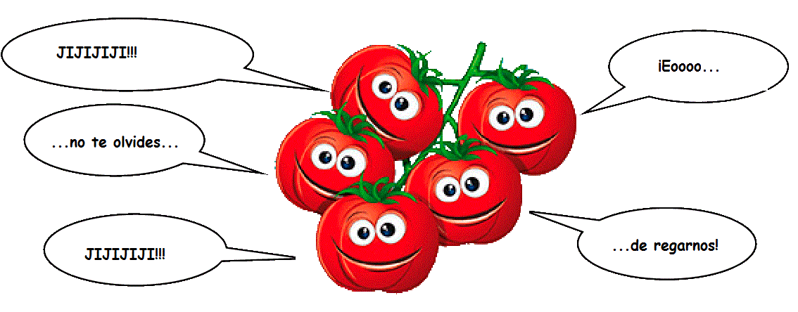 Cherries-bocadillo 2