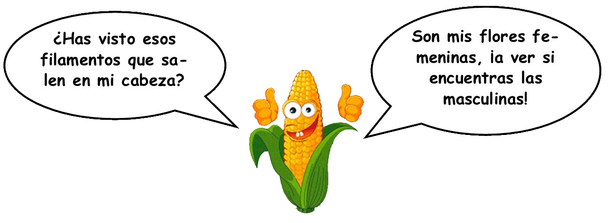 Panocho-bocadillo 2.gif