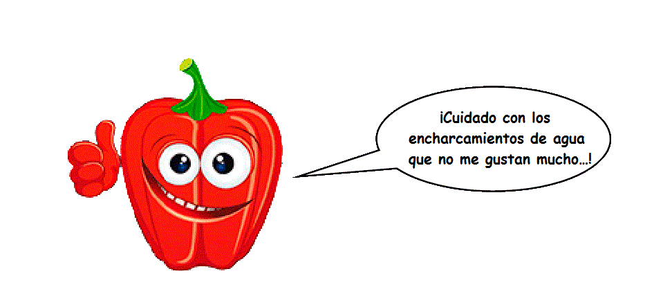 Pimiento-bocadillo 2