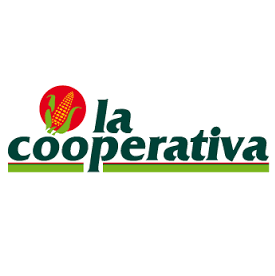 Cooperativa