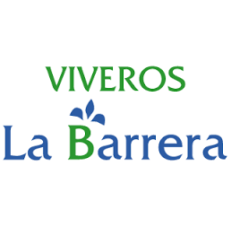 LA BARRERA