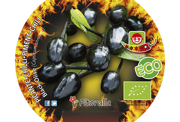 Picante Black Olive ECO M-10,5