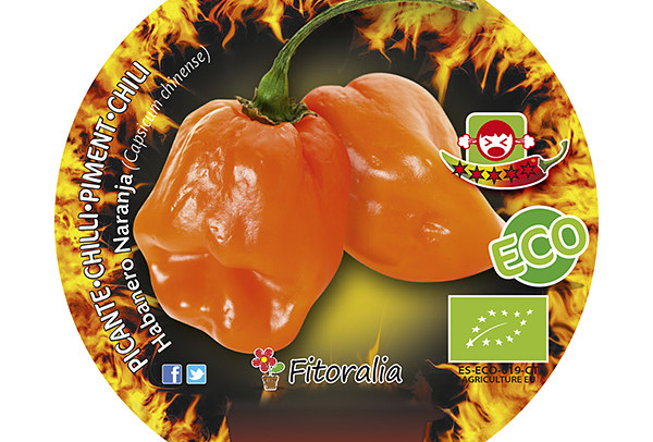 Picante Habanero Naranja ECO M-10,5