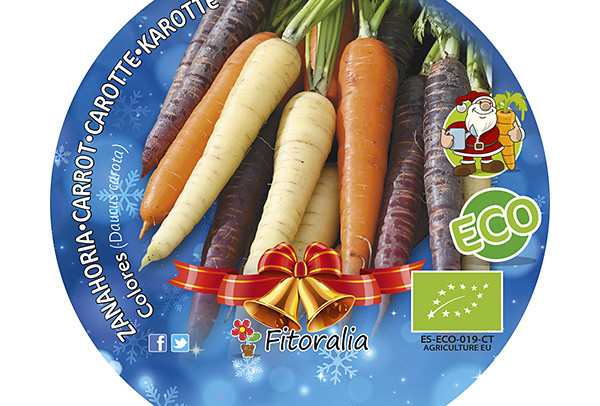 Zanahoria Colores Especial Navidad ECO M-10,5