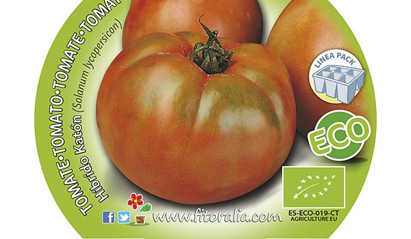 Pack Tomate Ensalada Híbrido Katon 6-12 ud. ECO