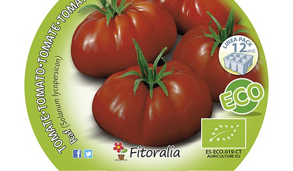 Pack Tomate Raf 6 y 12 Ud. ECO