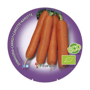 Zanahoria ECO M-10,5