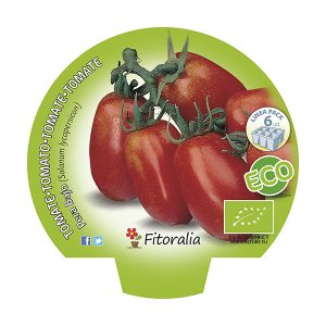 Pack Tomate Pera Mata Baja 6 Ud. ECO