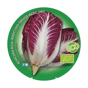 Achicoría Roja ECO M-10,5