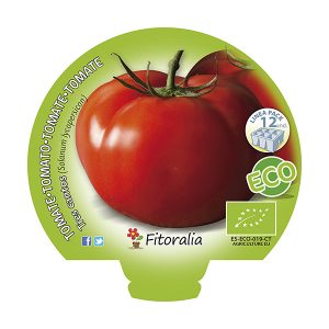 Pack Tomate Tres Cantos 6 y 12 Ud. ECO