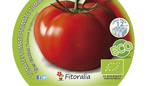 Pack Tomate Tres Cantos 6 y 12 Ud. ECO