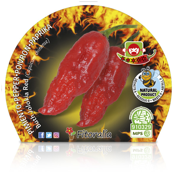 Picante Buth Jolokia Red M-10,5