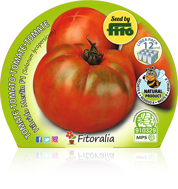 Pack Tomate Híbrido Merlín F1 12 Ud