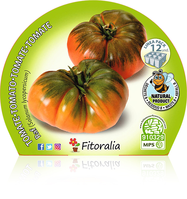 Pack Tomate Raf 12 Ud