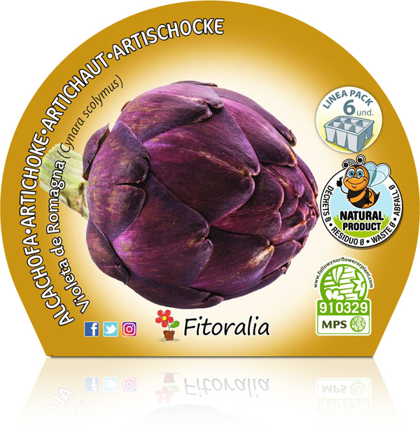 Alcachofa Violeta de Romagna M-10,5
