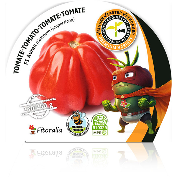 Tomate Injertado F1 Aurea M-10,5 Solanum lycopersicon W