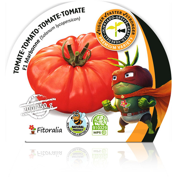 Tomate Injertado F1 Marbonne M-10,5 Solanum lycopersicon W