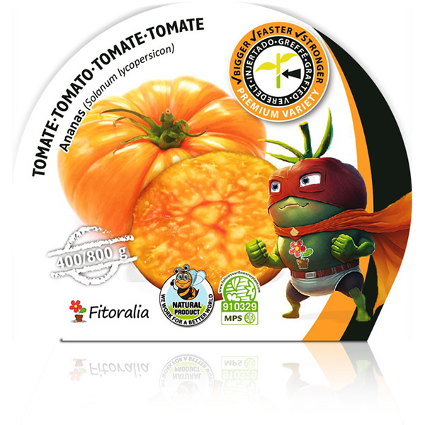 Tomate Injertado Ananas M-10,5 Solanum lycopersicon W